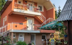 Apartments Dedeic